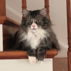 Meet your Posher, Elly